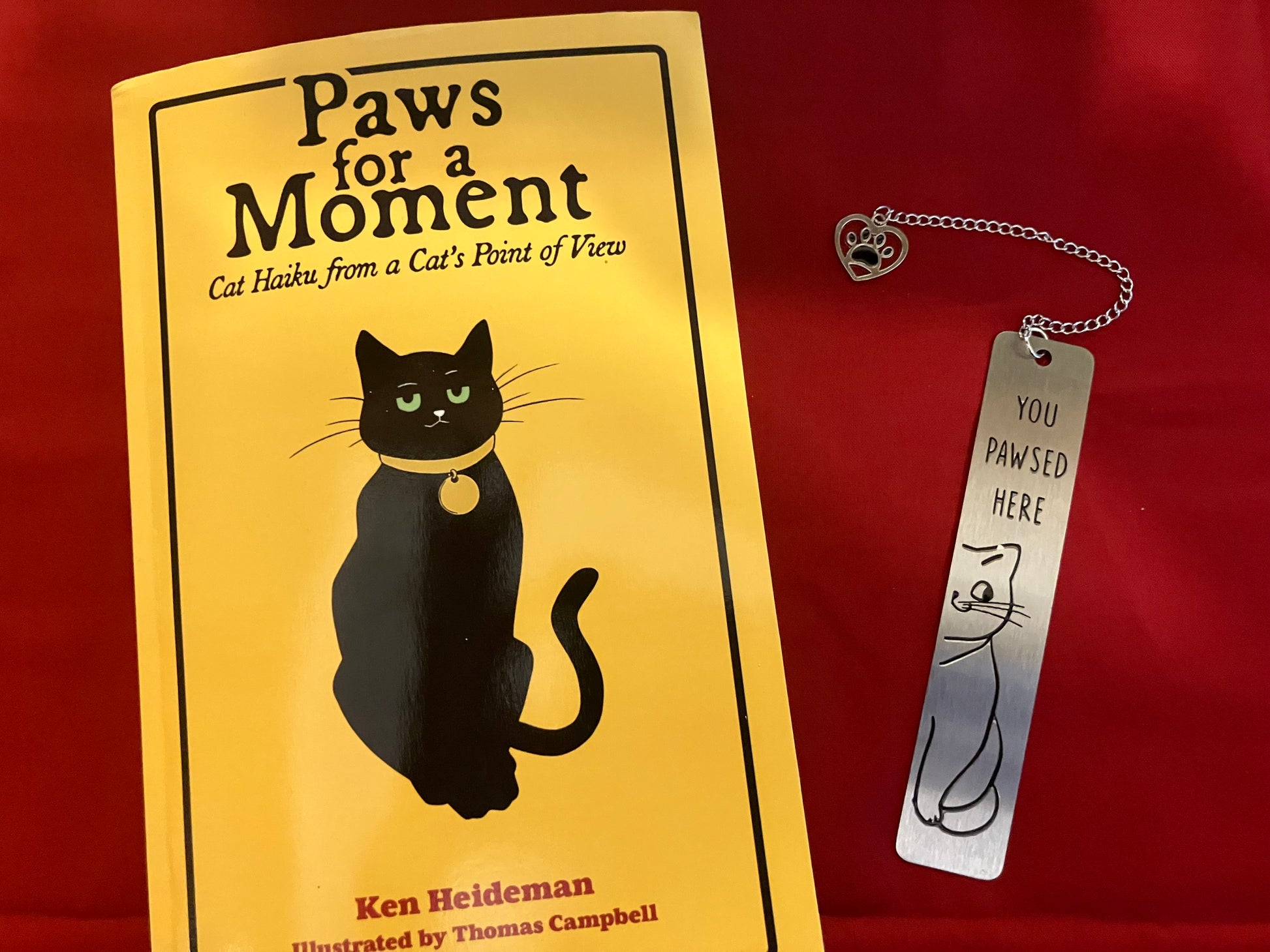 Paws for a Moment: Cat Haiku from a Cat's Point of View